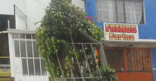FRENOS FARINA FRENOS FARINA